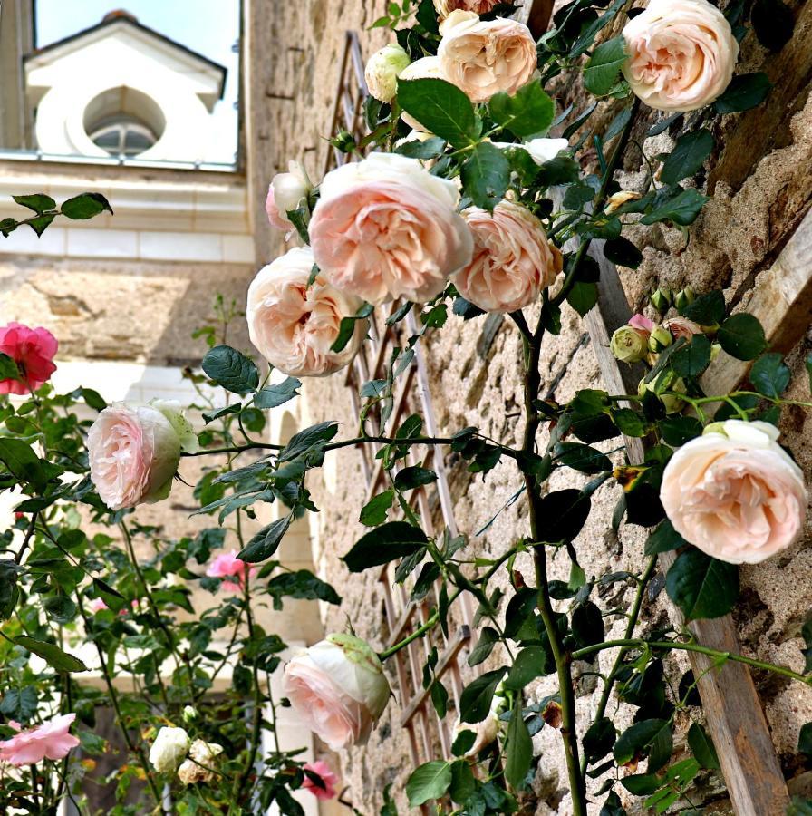 La Demeure De L'Aubance Bed & Breakfast Saint-Mélaine-sur-Aubance Dış mekan fotoğraf