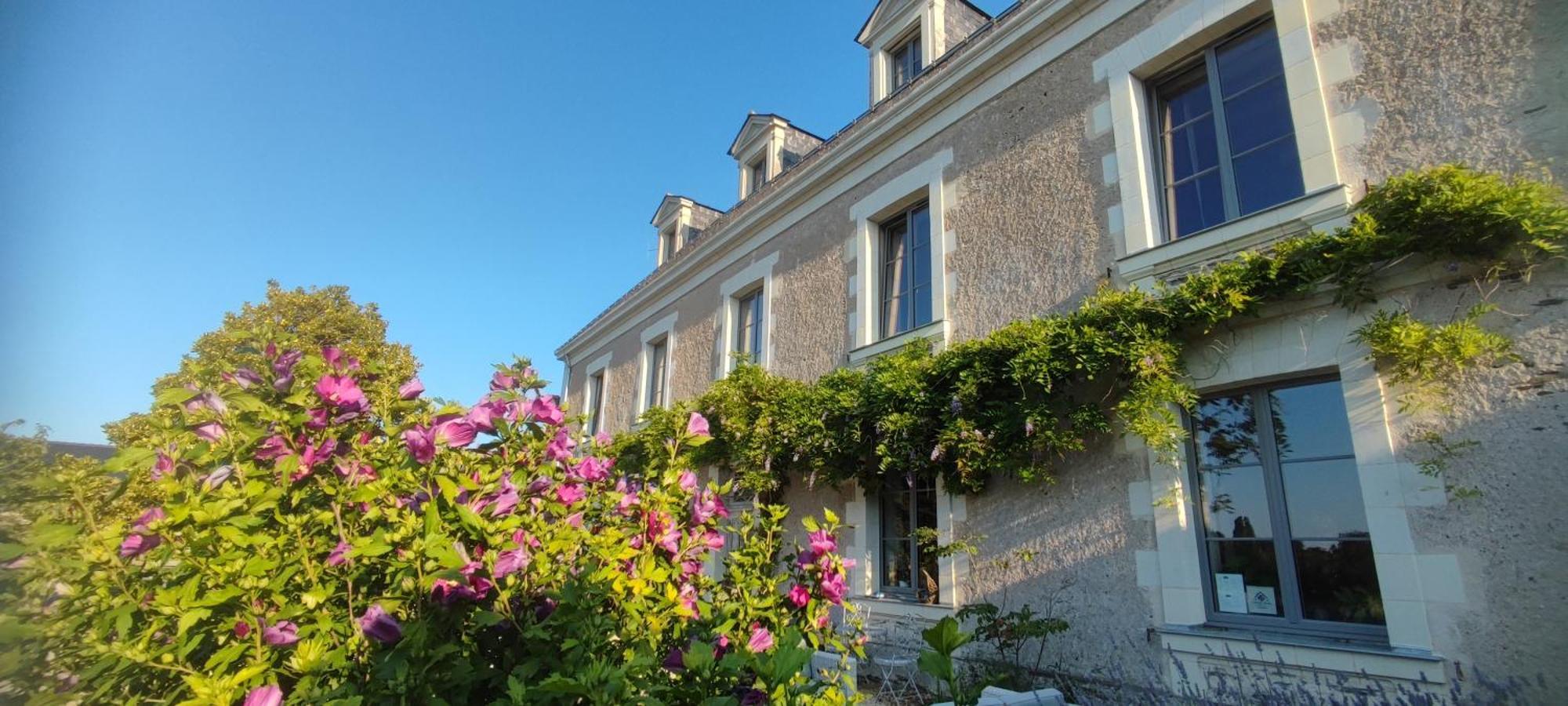 La Demeure De L'Aubance Bed & Breakfast Saint-Mélaine-sur-Aubance Dış mekan fotoğraf