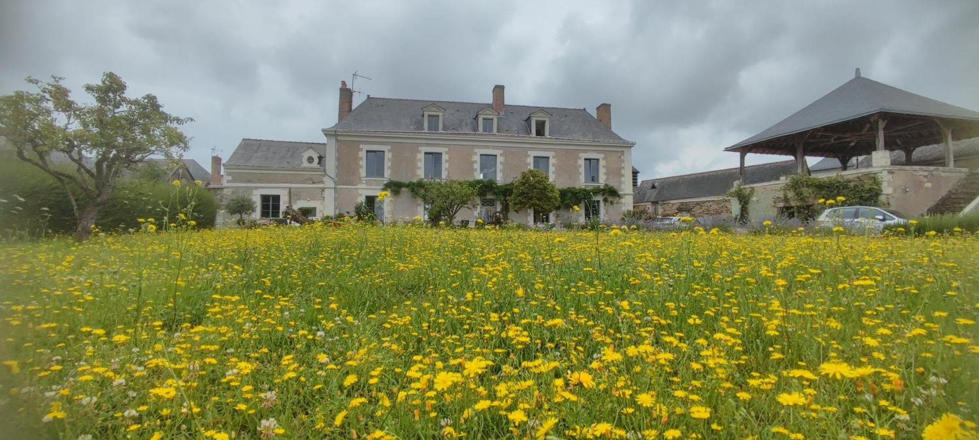 La Demeure De L'Aubance Bed & Breakfast Saint-Mélaine-sur-Aubance Dış mekan fotoğraf