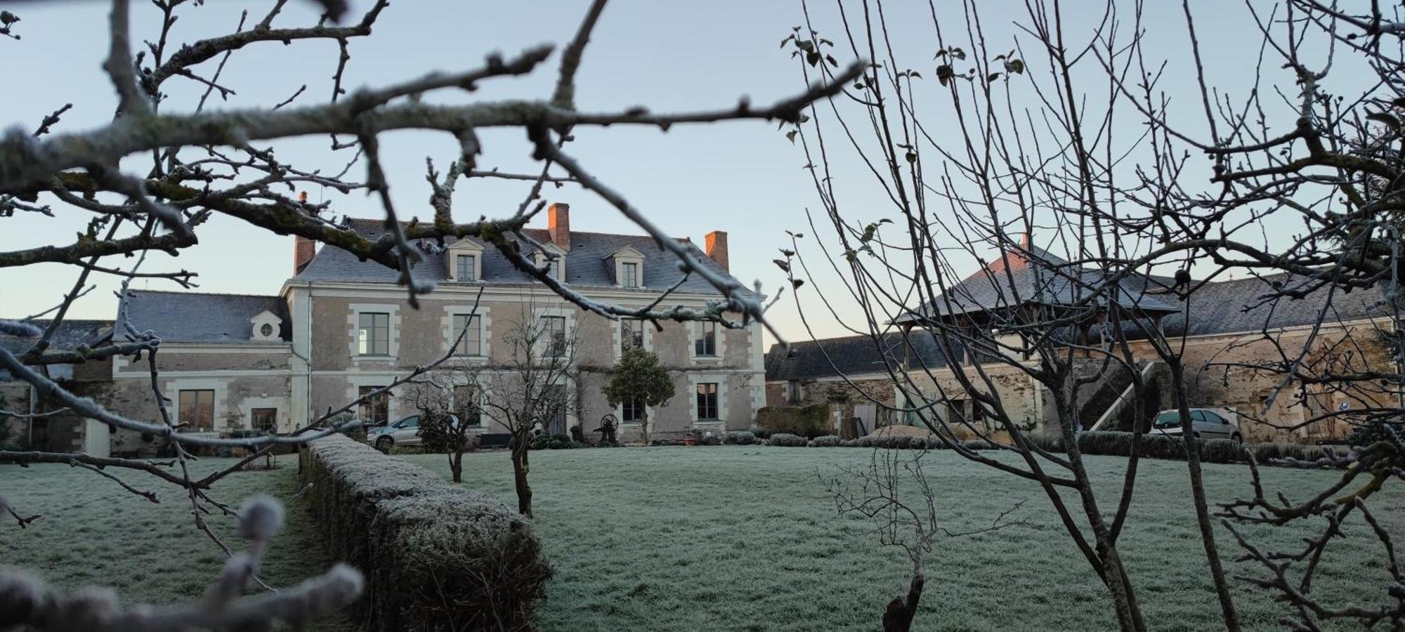 La Demeure De L'Aubance Bed & Breakfast Saint-Mélaine-sur-Aubance Dış mekan fotoğraf